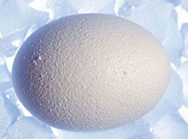 生育科普：冷冻卵子真的可以助孕吗？
