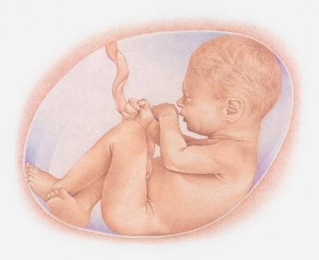 美国试管婴儿胚胎移植后出现不良症状该如何解